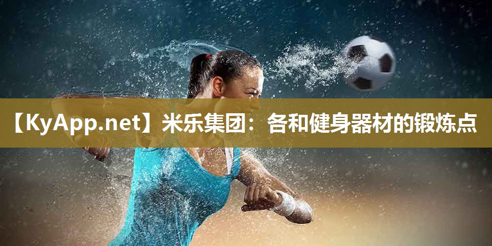 米乐集团：各和健身器材的锻炼点