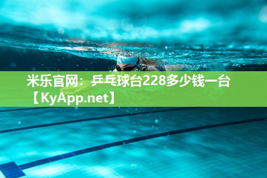 乒乓球台228多少钱一台